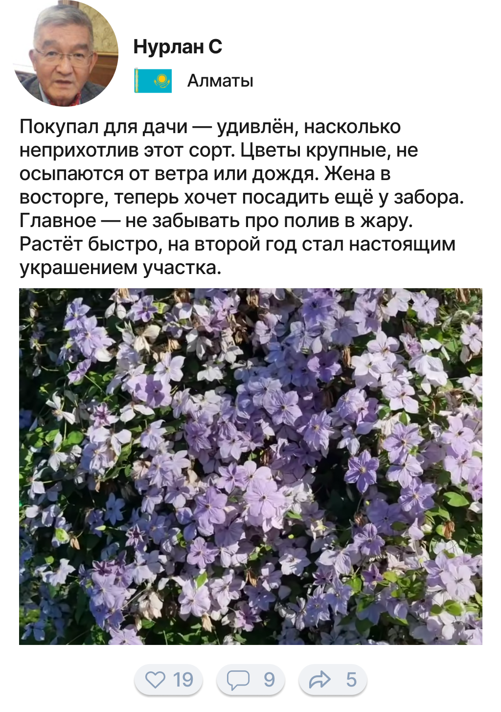 Заголовок