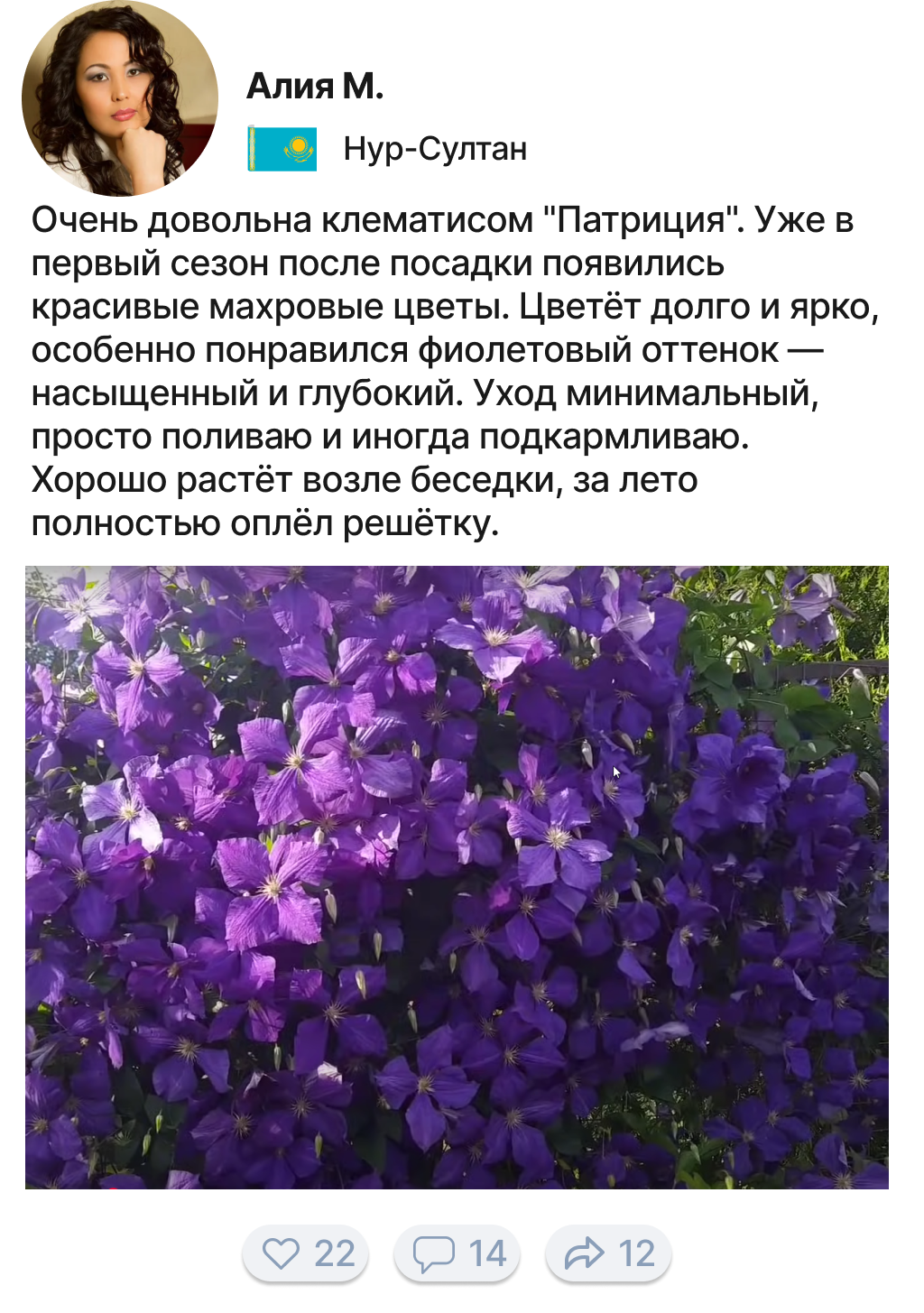 Заголовок