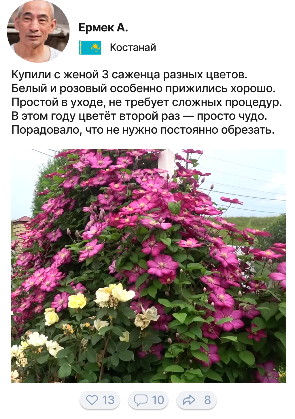 Заголовок