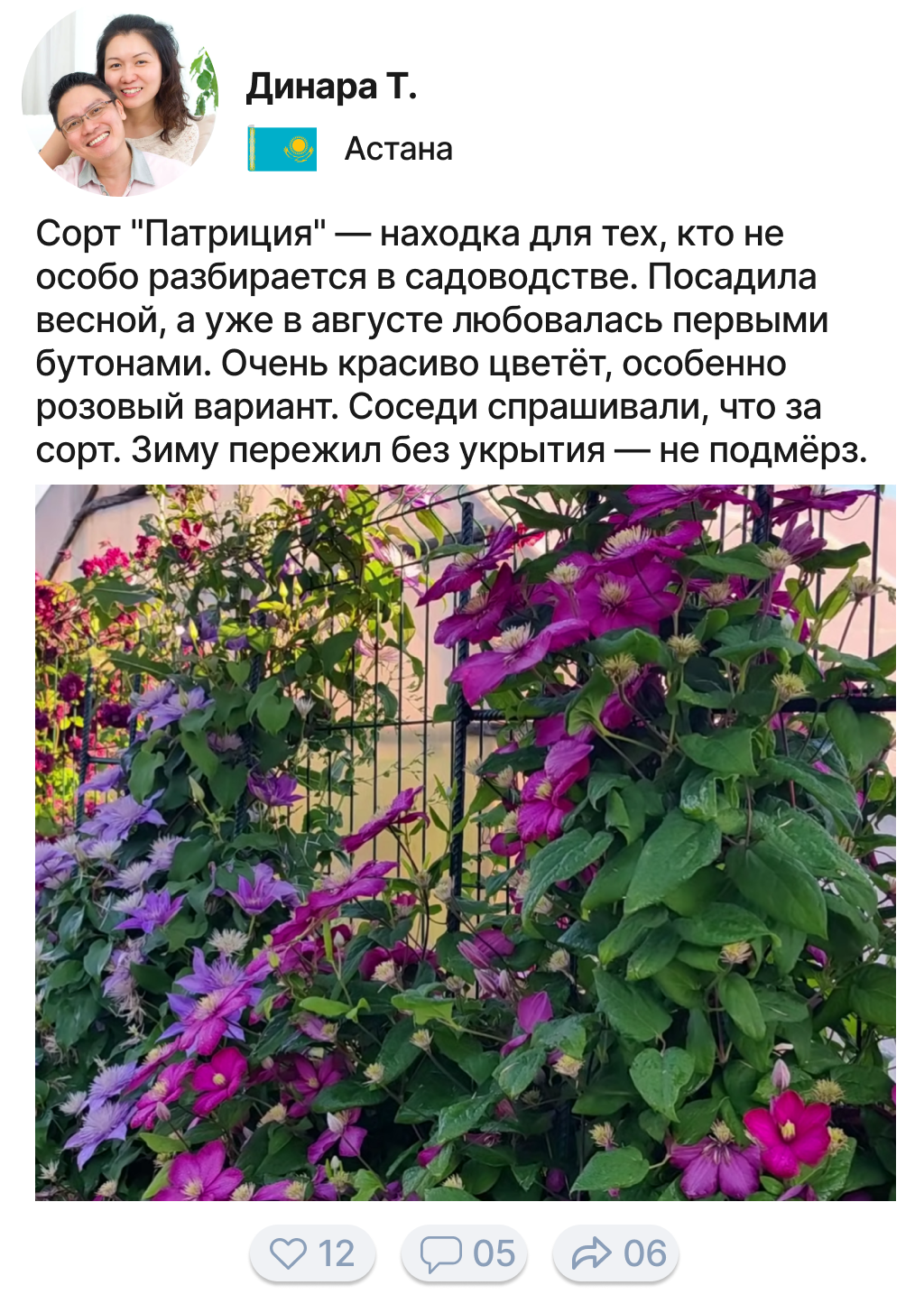Заголовок
