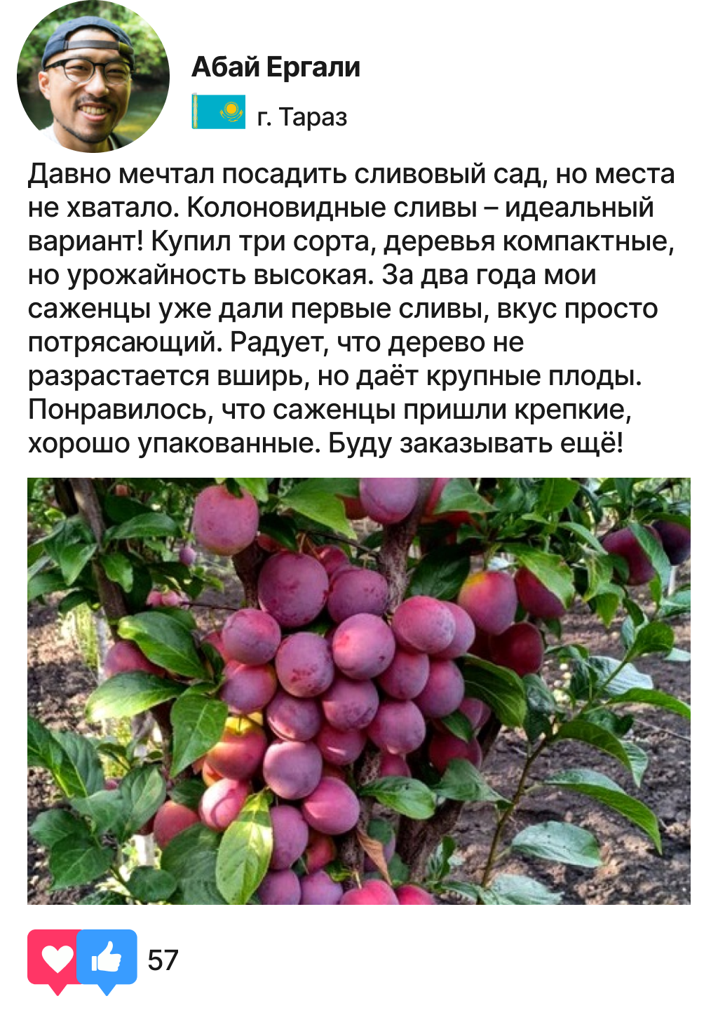 Заголовок