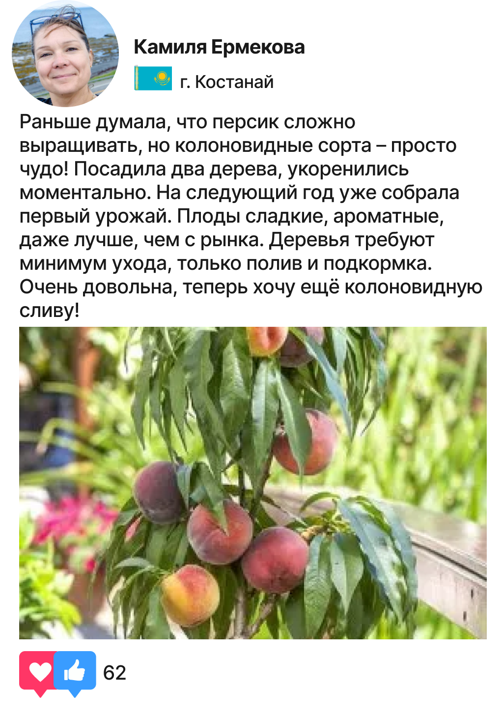 Заголовок