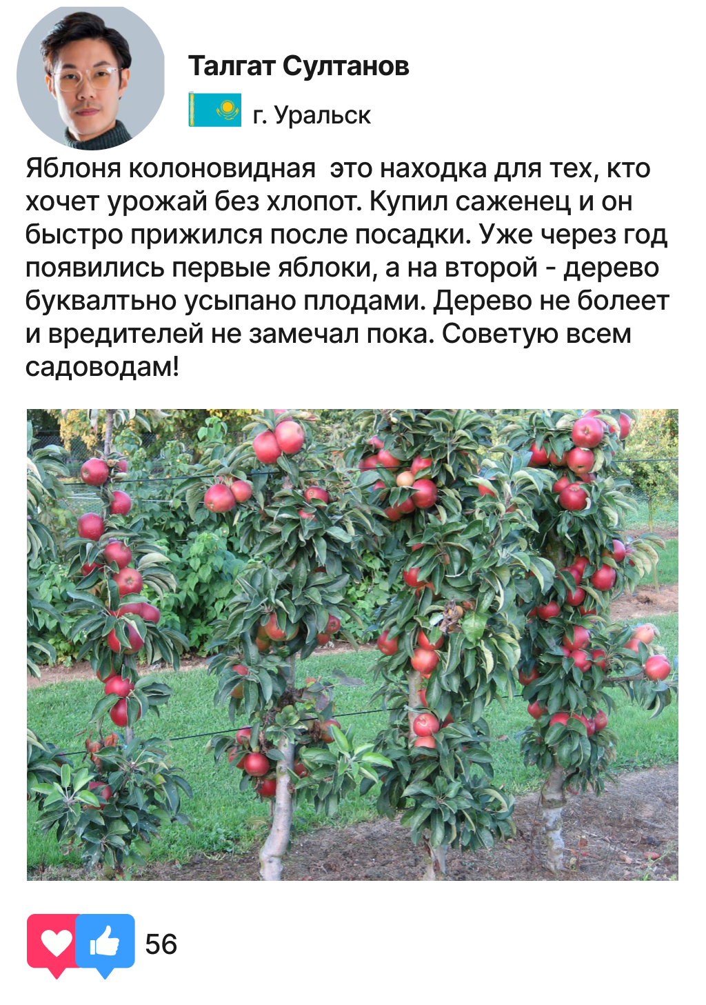 Заголовок